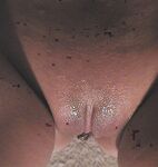 sexy and wet  - 2