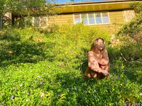 Lara Lacey special onlyfans nude gals leaks pack section 6

